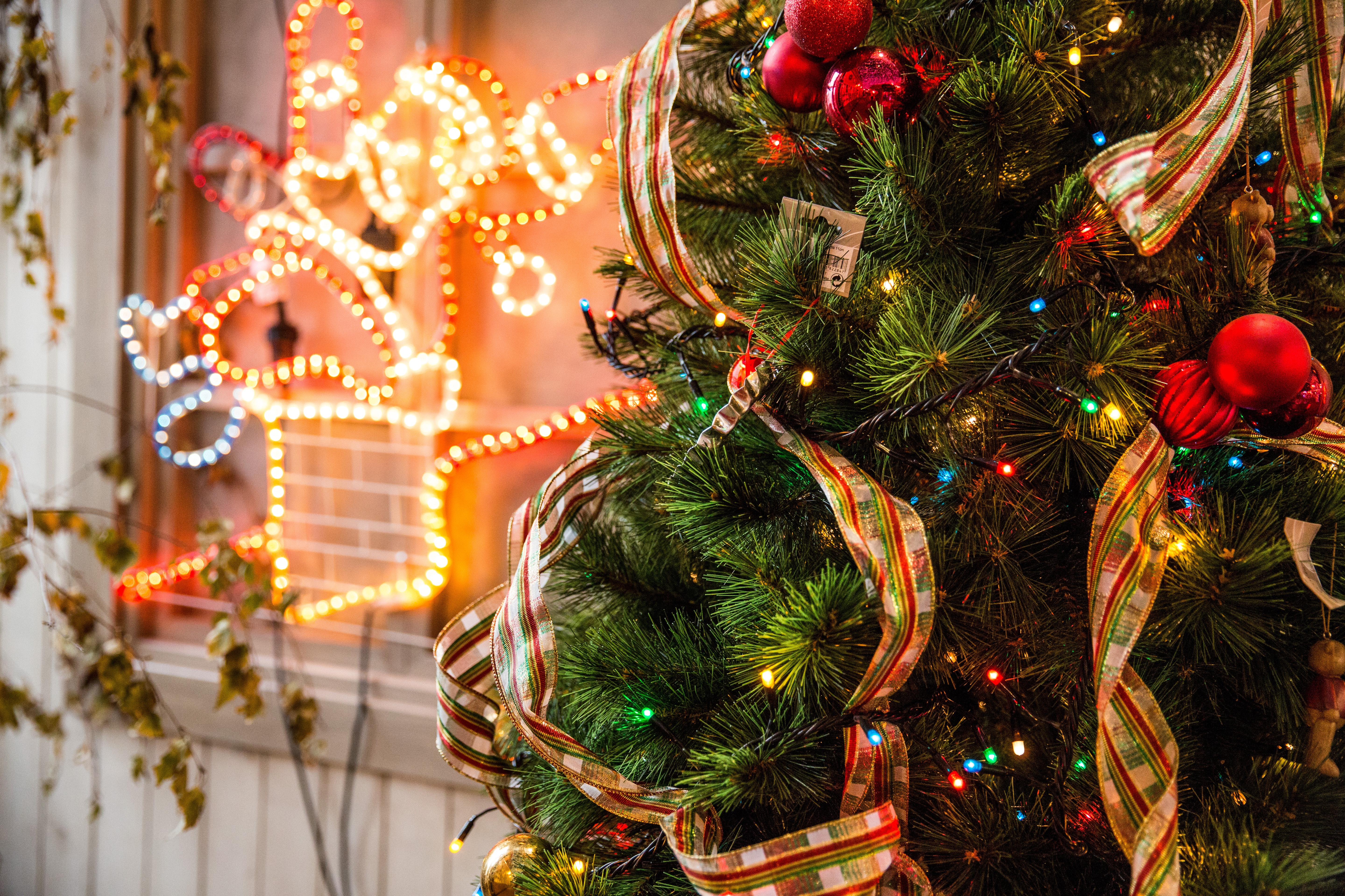 joyful christmas tree and lights